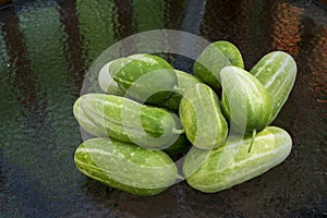 Cucumbers Ready For The Farmers Market