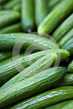 Cucumbers For Sale at Market photo