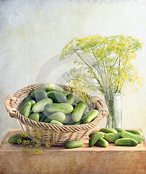 Cucumbers photo