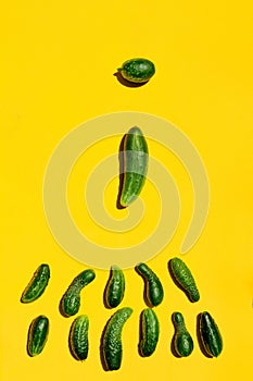 Cucumbers symbolizes the process of fertilization of the ovum by the sperm