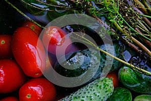 The cucumbers, tomatoes, and dill are ready for pickling once they have been picked.