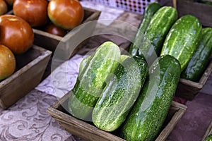 Cucumbers and tomatoes at farmers market