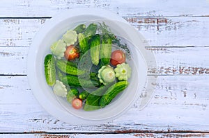 Cucumbers, tomatoes, and squash are ready to pickle.