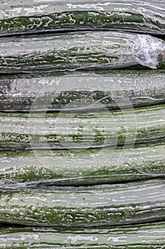 Cucumbers Wrapped in Plastic Background photo