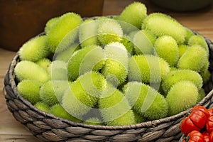 Cucumis dipsaceus. Green fruits of wild cucumber with villus lengths in a wicker basket. Hedgehog groud or wild cucumber, African