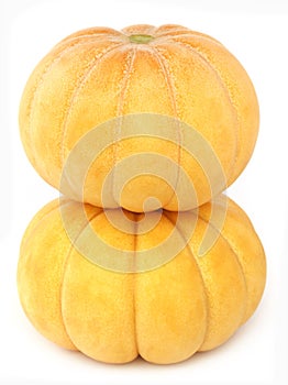 Cucumis Melo or Muskmelon photo