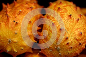 Cucumis metuliferus, Horned melon, Kiwano