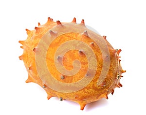 Cucumis metuliferus in studio