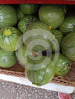 Cucurbita ficifolia is a species of pumpkin grown for its edible seeds, fruit, and greens