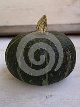 Cucurbita maxima Delica F1 09