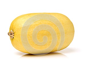 Cucurbita pepo vegetable