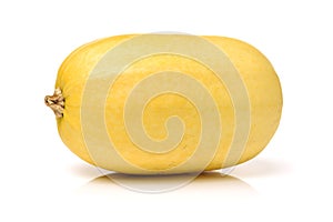 Cucurbita pepo vegetable