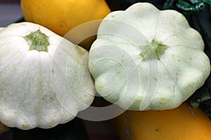 Cucurbita pepo, White pattypan squash