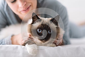 Cuddly cat on the bed