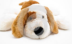 Cuddly soft toy puppy photo