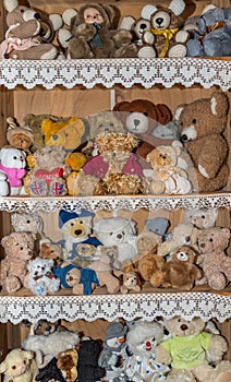 Cuddly stuffed bears - toy teddy