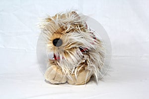 Cuddly stuffed puppy dog on a white neutral background