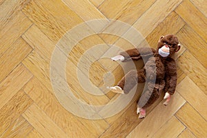 Cuddly toy on a classic herringbone parquet floor made of natural wood