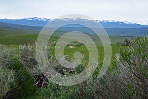 Cuddy Mountain, Idaho