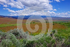 Cuddy Mountain, at Midvale, Idaho