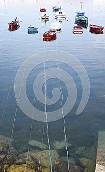 CUDILLERO, SPAIN - Jul 14, 2014: Barcas unidas al puerto mediante su amarre photo