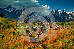 Cuernos del Paine, Lago Pehoe, Torres del Paine National Park in Chilean Patagonia, Chile photo