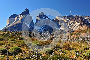 Cuernos del Paine photo