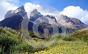 Cuernos Del Paineand meadow photo