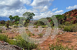 Cuesta de Miranda. La Rioja. North Argentina photo