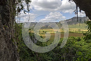 `Cueva de la Vaca` in the ViÃÂ±ales Valley in Cuba photo