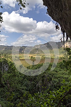 `Cueva de la Vaca` in the ViÃÂ±ales Valley in Cuba photo