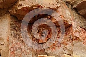 Cueva de las manos photo