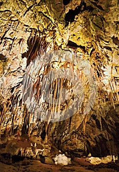 Cueva de Postojna - Eslovenia photo