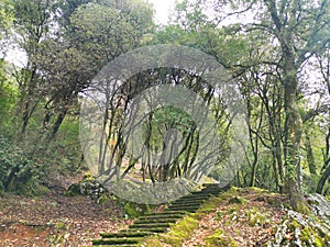 Cueva de SantimamiÃ±e,
