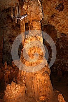 Cueva Del Viento Puerto Rico