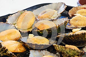 Cuisine of the Azores. The mollusks of Lapas, Limpets are popular as a snack in the Azores.