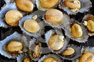 Cuisine of the Azores. Shellfish Lapas, Lipets are popular as snacks in the Azores. photo