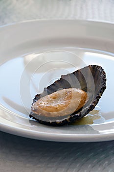 Cuisine of the Azores. Shellfish Lapas, Lipets are popular as snacks in the Azores. photo