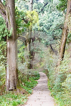 Cuiyun Corridor Scenic Area. Cuiyun Corridor is a section of the Ancient Shu Path in Guangyuan, Sichuan, China.