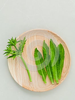 Culantro, Long coriander, Sawtooth coriander the herbs for seasoning of Thailand, India, Vietnam and other parts of Asia.