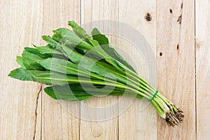 Culantro or Parsley.