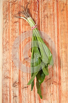 Culantro or Parsley on wood