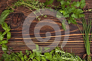 Culinary herbs background with copy space.