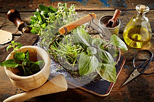 Culinary herbs, olive oil and pestle on table