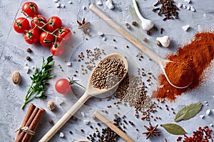 Culinary still life of assorted spices on white textured background, flat lay, close-up, selective focus.