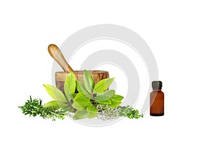 Culinery and Medicinal Herbs