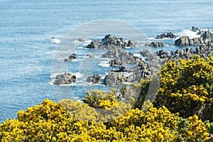 Cullen coastside views in a clear day