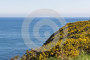 Cullen coastside views in a clear day