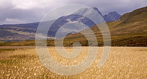 The Cullin hills and field