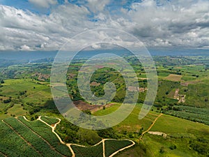 Cultivable land and greenery forest in the Philippines.